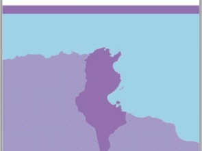 Cover IFFs and Asset Recovery Tunisia EN