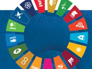 UNICRI's Consultation with Member States