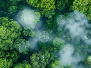 Winter School on Environmental Crimes