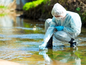 Environmental Crimes