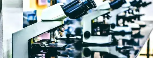 Biosecurity Initiative