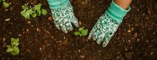 Sustainable Practices in Correctional Facilities