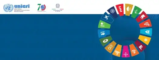 UNICRI's Consultation with Member States